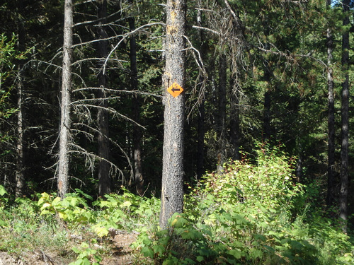 GDMBR: The orange markers are for winter activities.